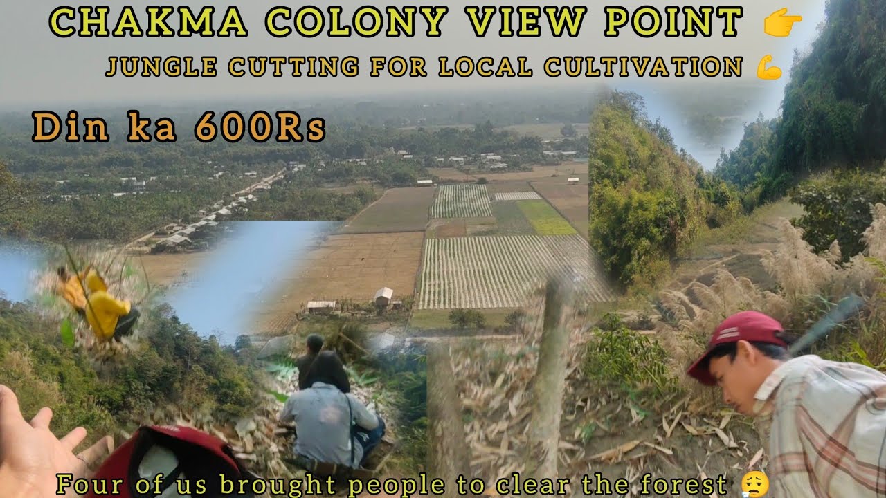 Jungle cutting😮‍💨and Two man have taken cut the forest|Local zoom cultivation|Chakam Village temple 