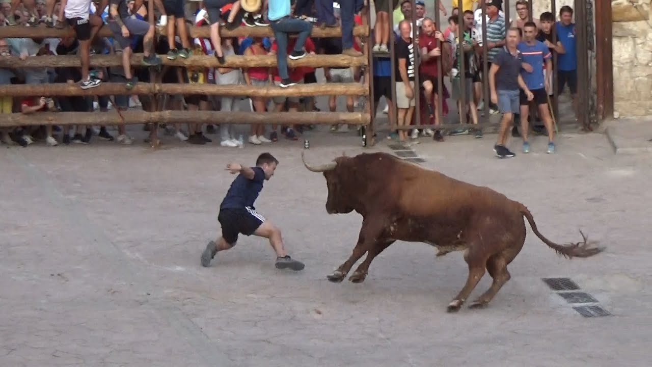 Hay madre ya estas cogido!! Dos toros Navarros Moratilla de los Meleros 25-08-2023 GuadaEncierros