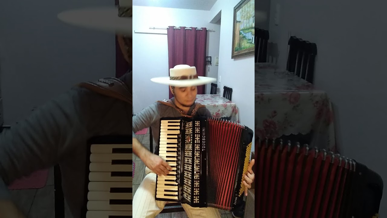 Xote Manhoso Os irmãos Bertussi