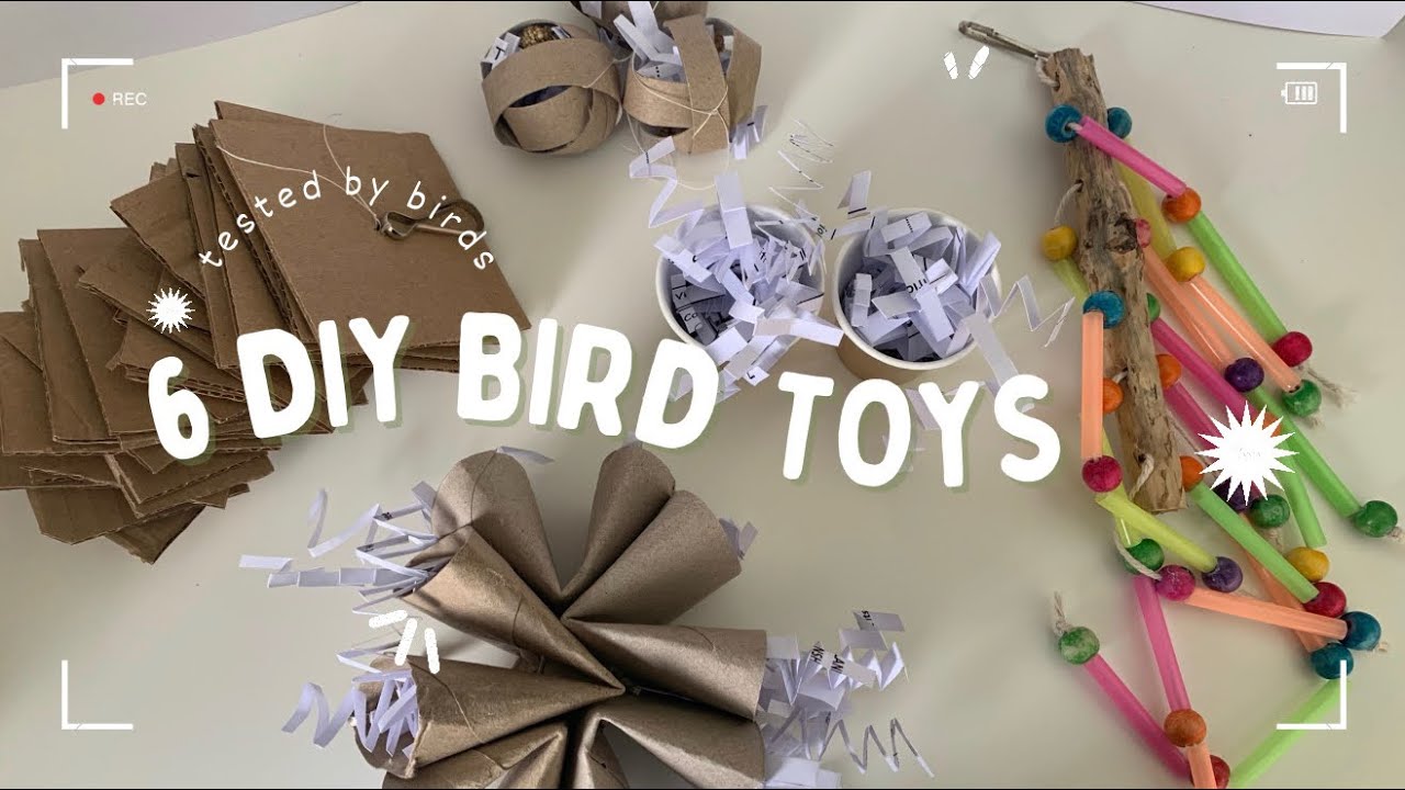 6 easy DIY bird toys