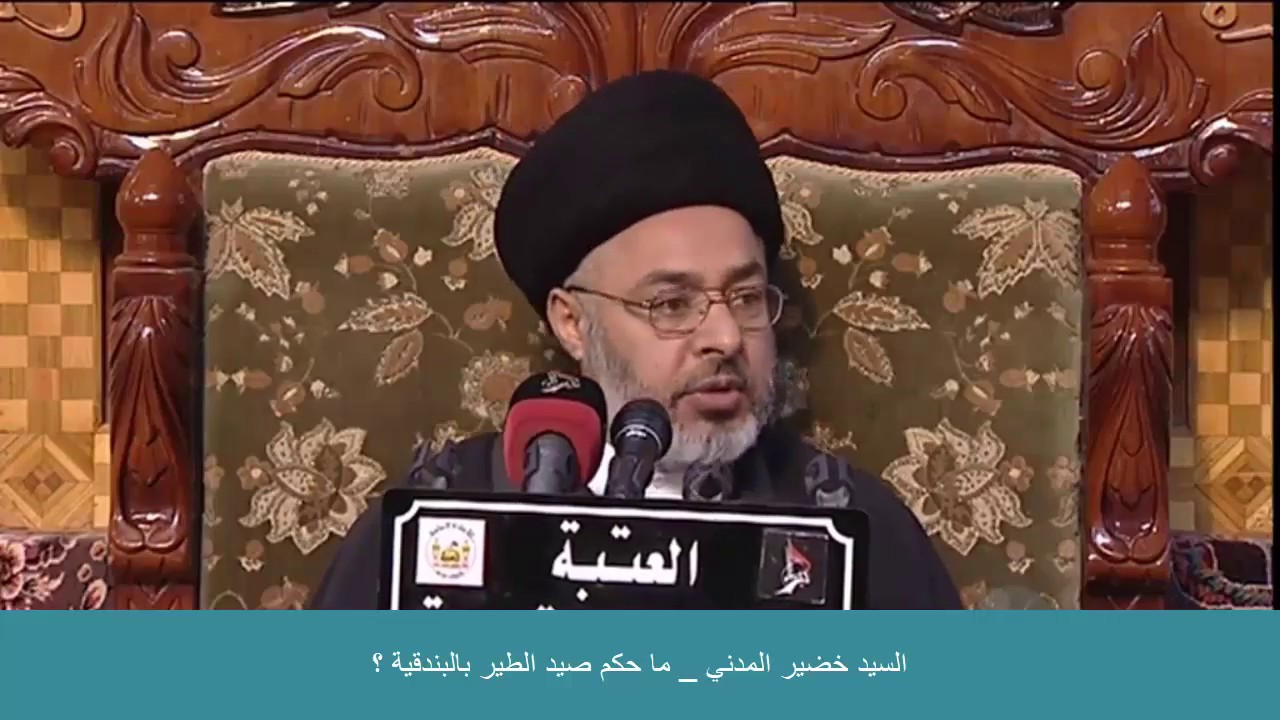 السيد خضير المدني _ ما حكم صيد الطير بالبندقية ؟