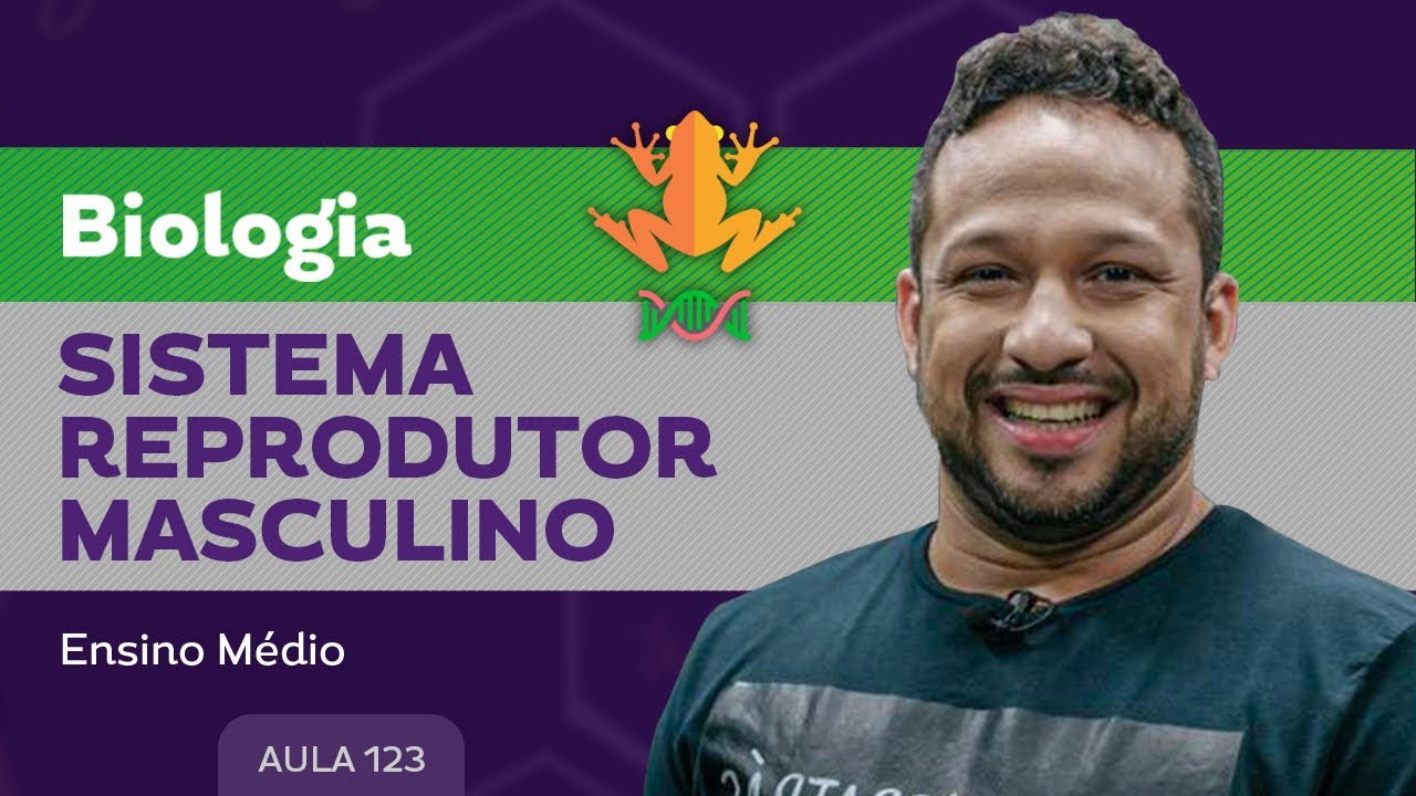 Sistema reprodutor masculino ​- Biologia - Ensino M&eacute;dio