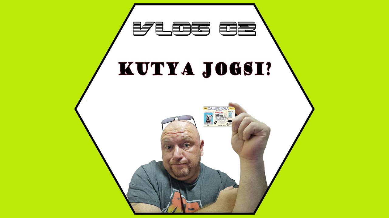 Kutya jogsi, Dog licence ?  Mi is ez?