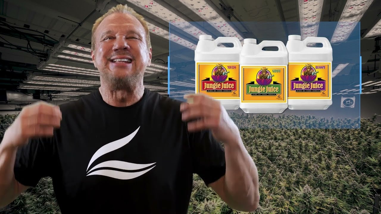 Jungle Juice: Product Knowledge