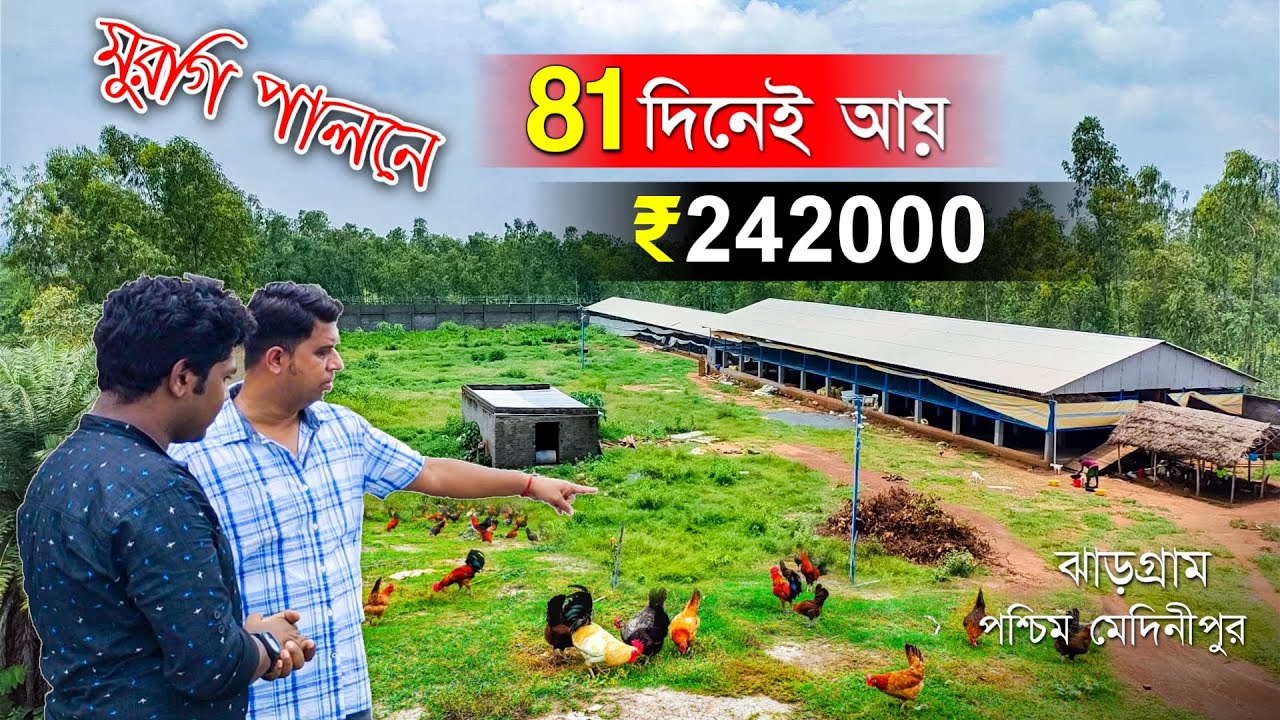 মুরগি পালন করে 81 দিনে আয় ₹241000 টাকা | Ayush Foundation | Desi Murgi Farming | Sonali Murgi