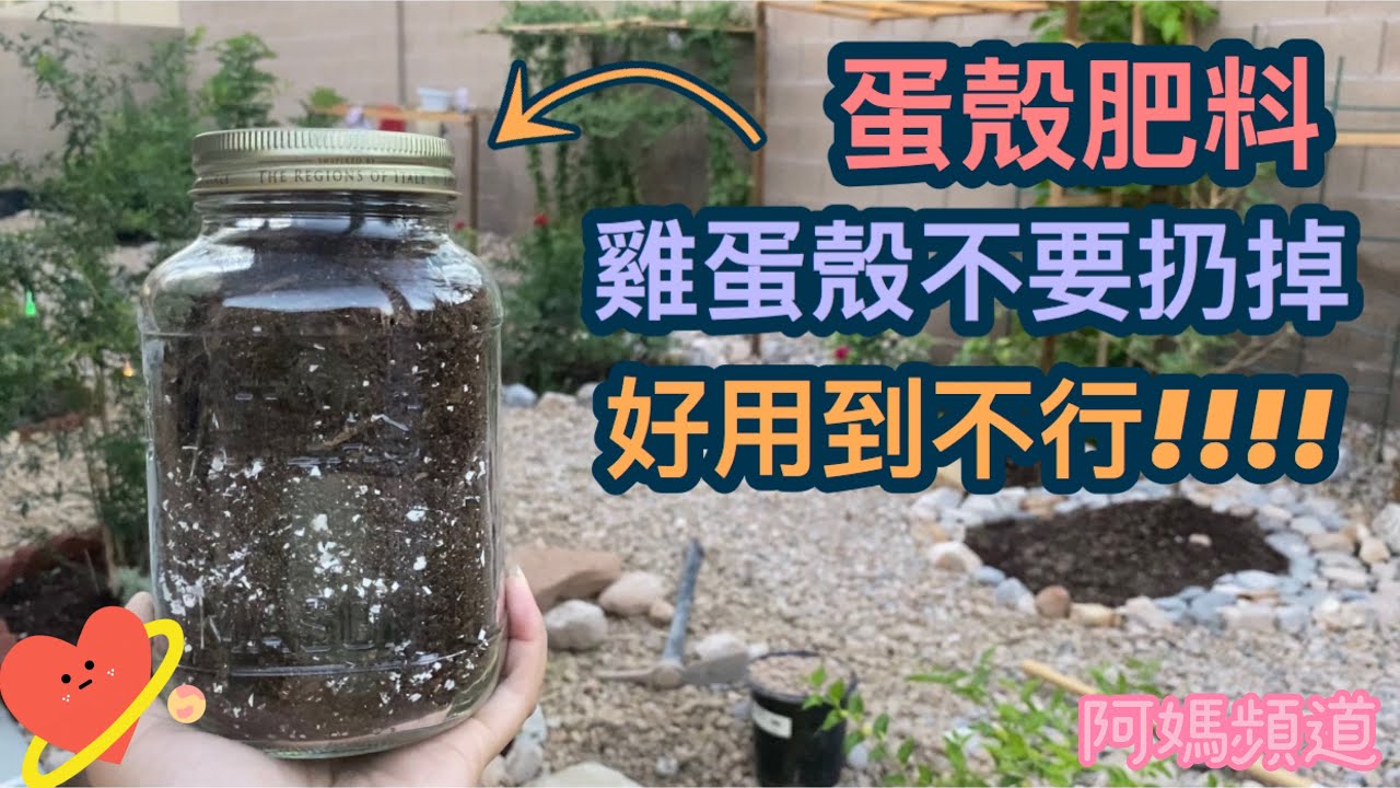自制蛋殼肥料，你知道了以後再也不用買這種肥料了！別浪費錢😉