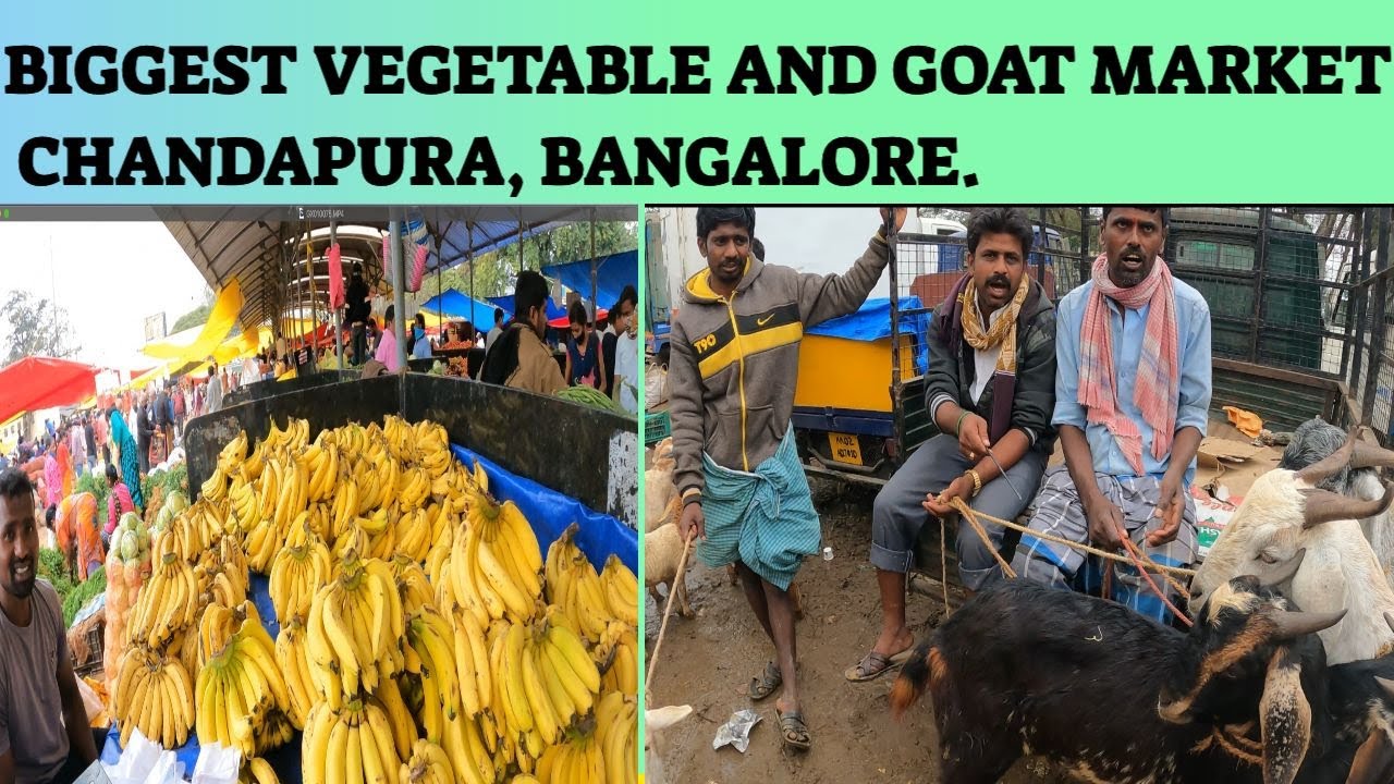 Chandapura Saturday sheep and vegetable Market