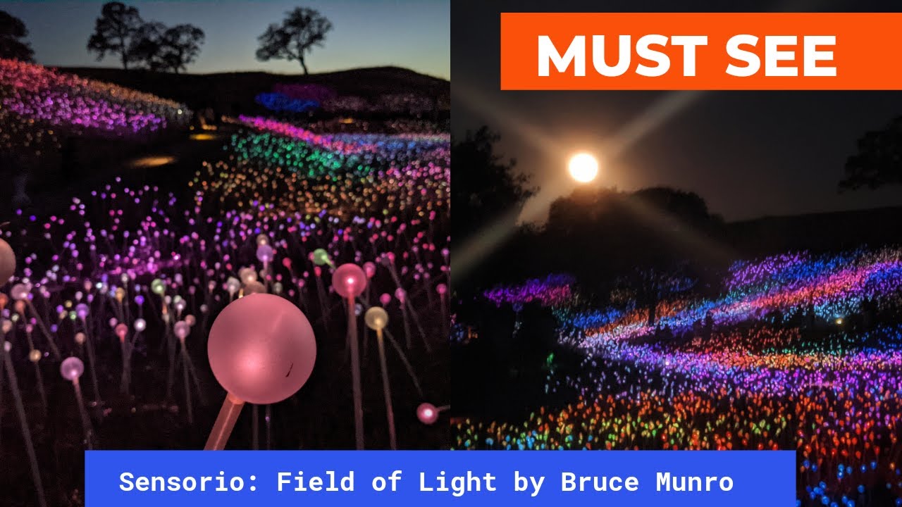 🆕Sensorio: Field Of Light Paso Robles - Field Of Lights Review 2021 - Top California Attractions
