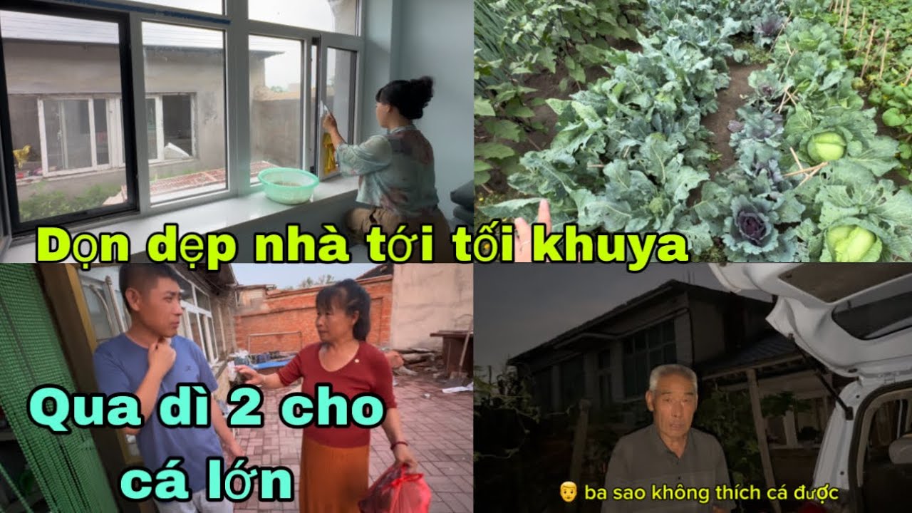 #442🇨🇳Dọn dẹp nhà tới tối khuya,đem võng Qua giúp em họ Được Dì 2 cho 2 con cá lớn,Ba Chồng thích Mê