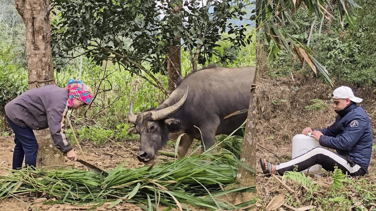 Trust Begins Between Two Poor Souls | Heartwarming Village Story