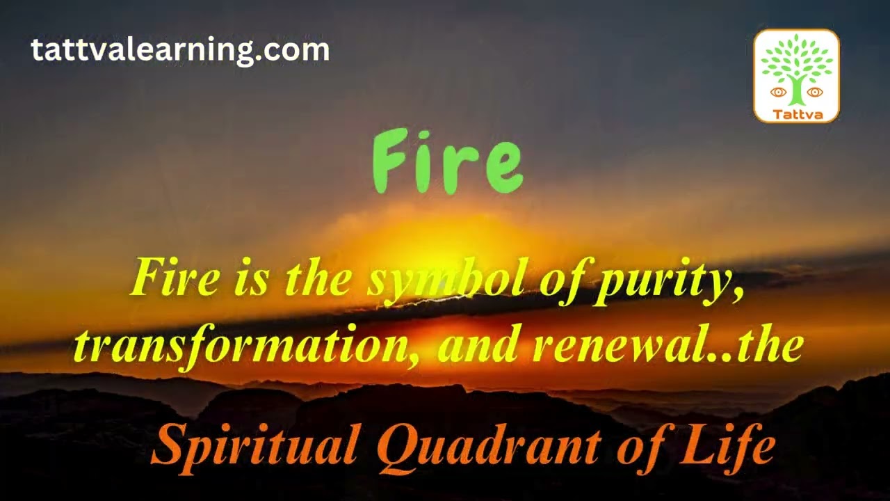 The Four Quadrants of Life