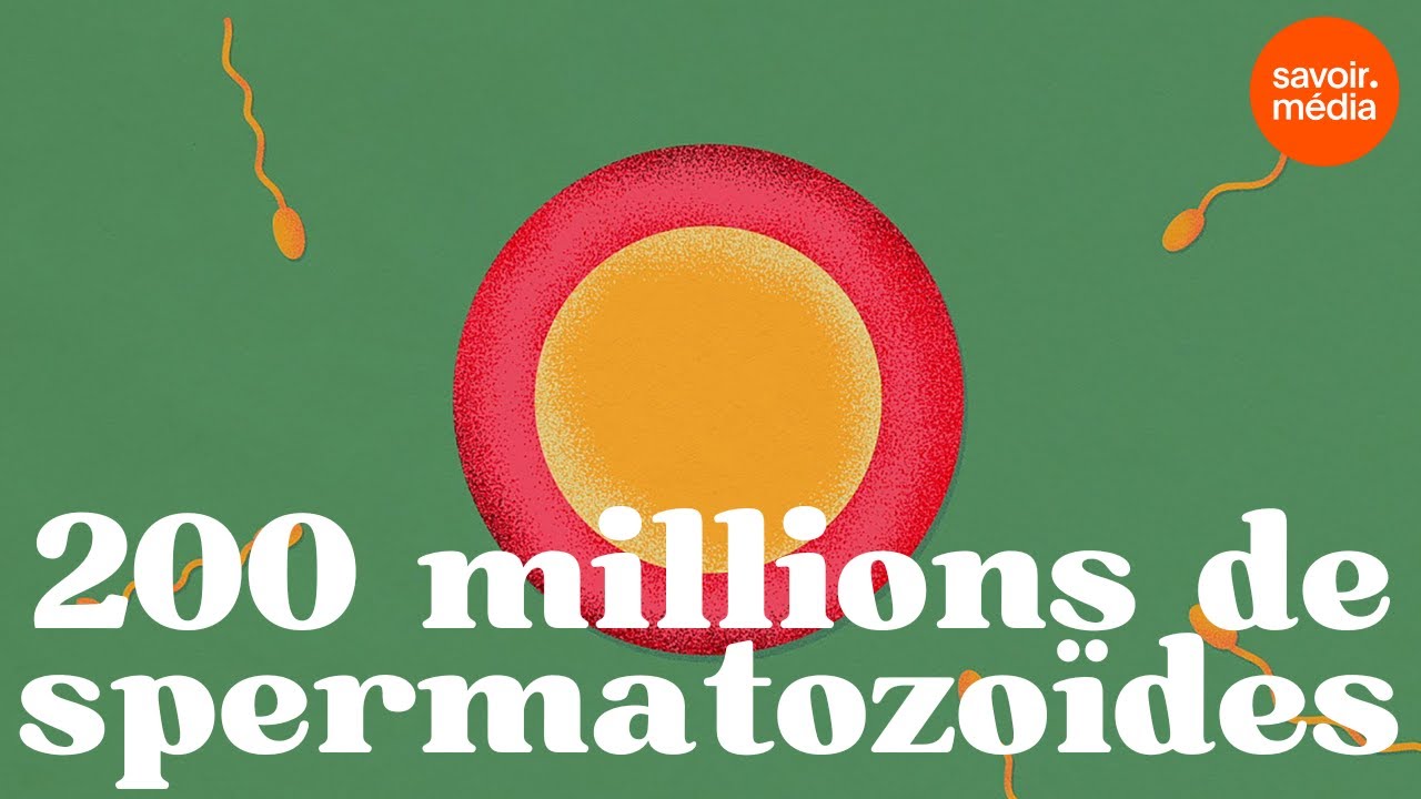 200 millions de spermatozoïdes - Les minutes du sexe
