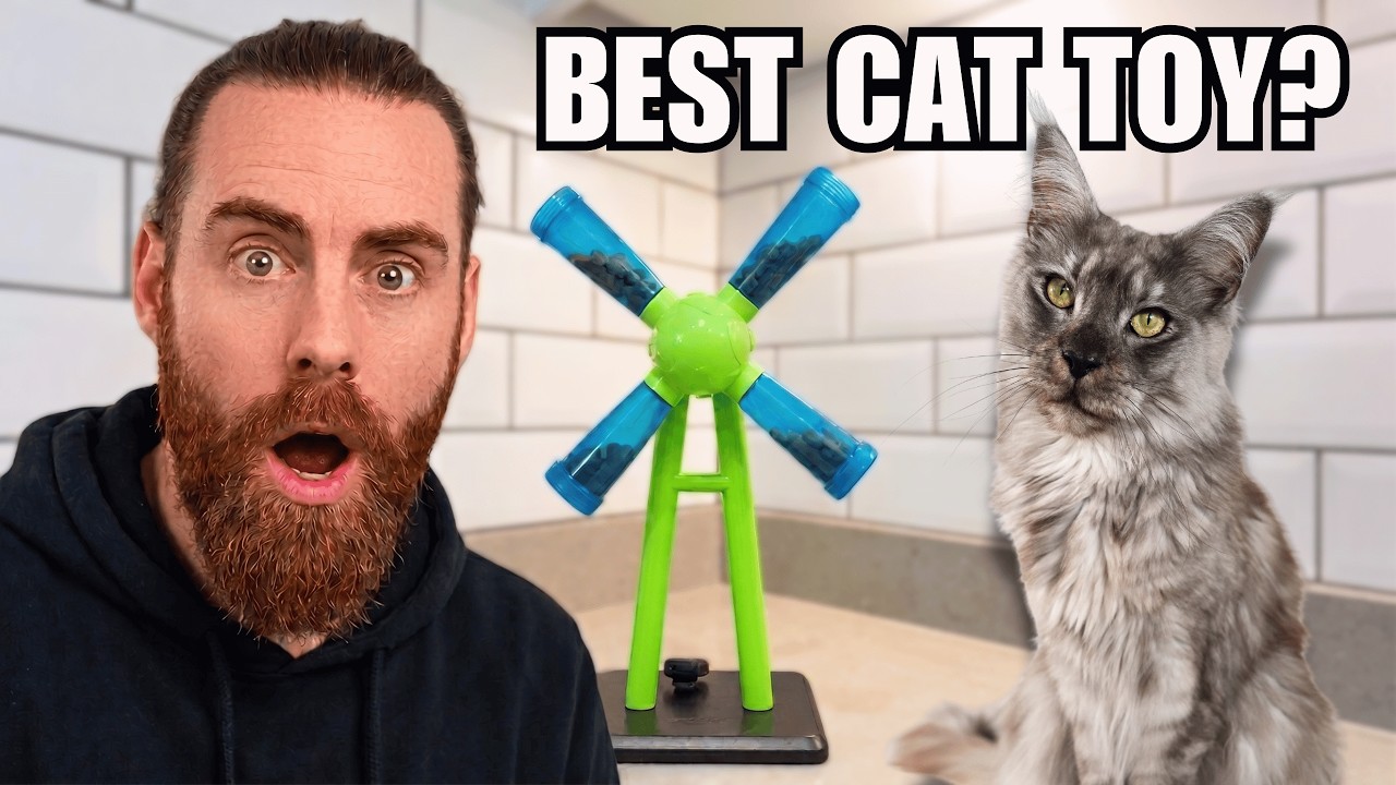 I Found the World's Best Cat Toy... in the Dog Aisle