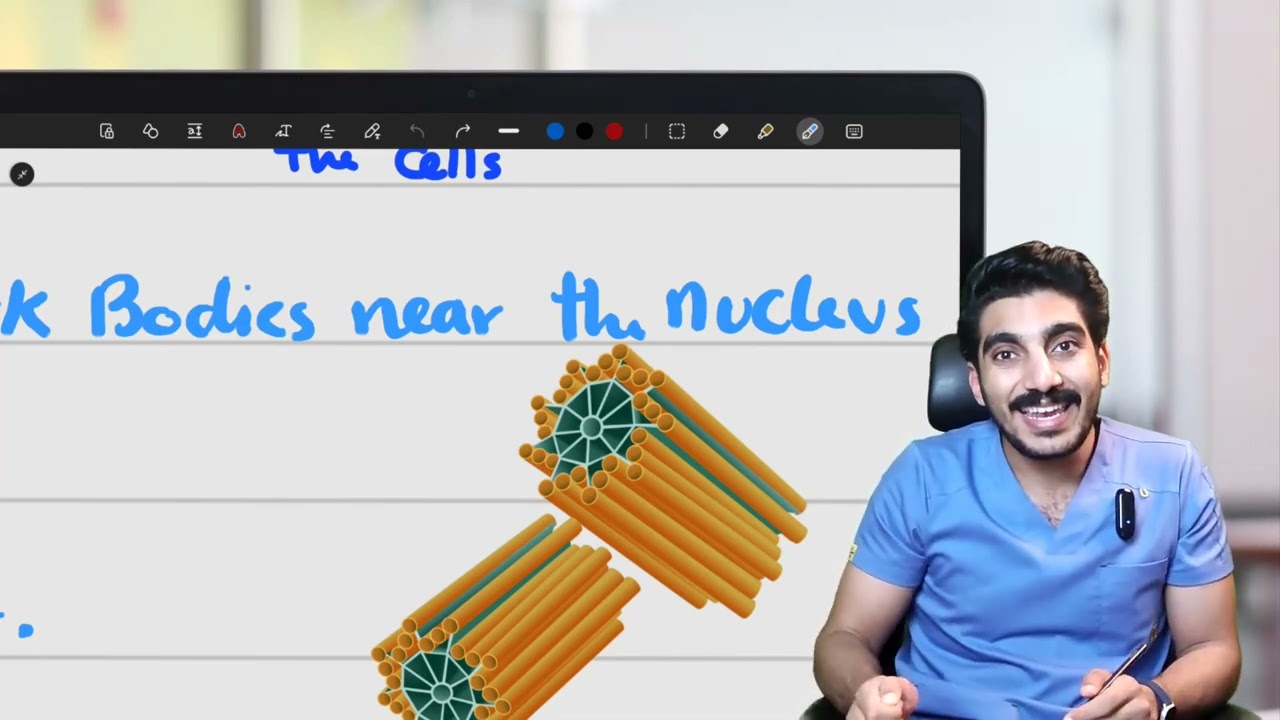 non membranous organelles