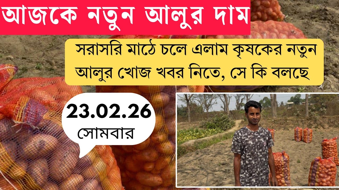 আজকে নতুন আলু মাঠে কি দামে বিক্রি করছে কৃষক🔥সরাসরি চলে এলাম মাঠেই WB potato market 