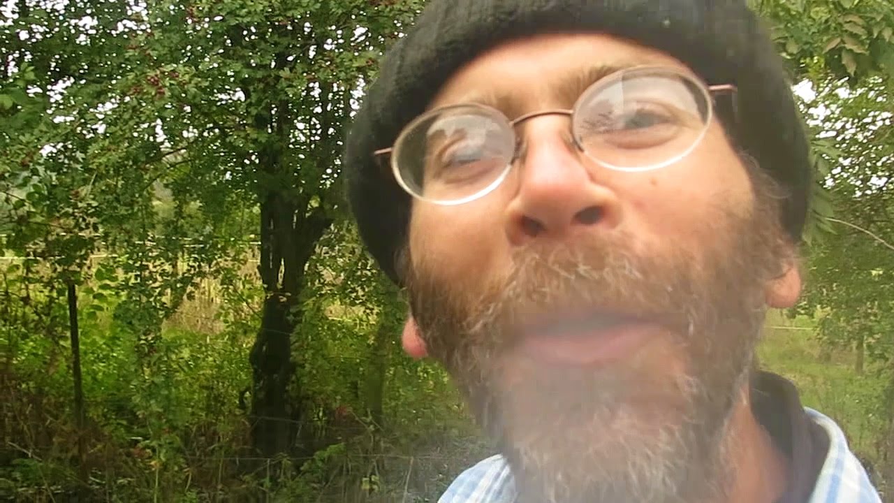 Une journée au bois, plutôt crevante...