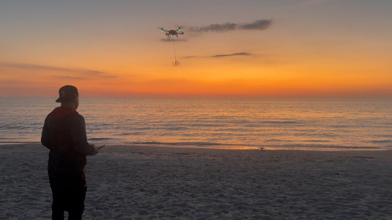 February land based shark fishing in South Florida: Blacktip, hammer, and bull shark