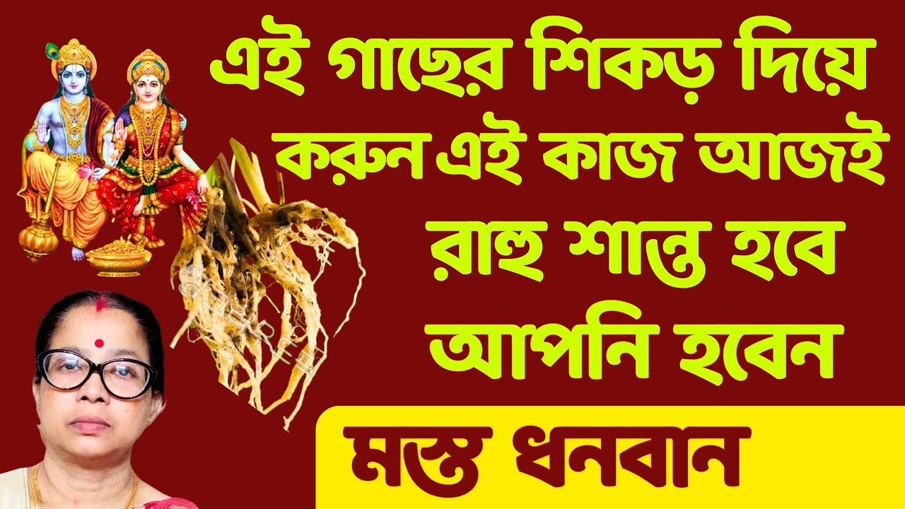 এই গাছের শিকড় দিয়ে করুন এই কাজ আজই রাহু হবে শান্ত আপনি হবেন কোটিপতি।
