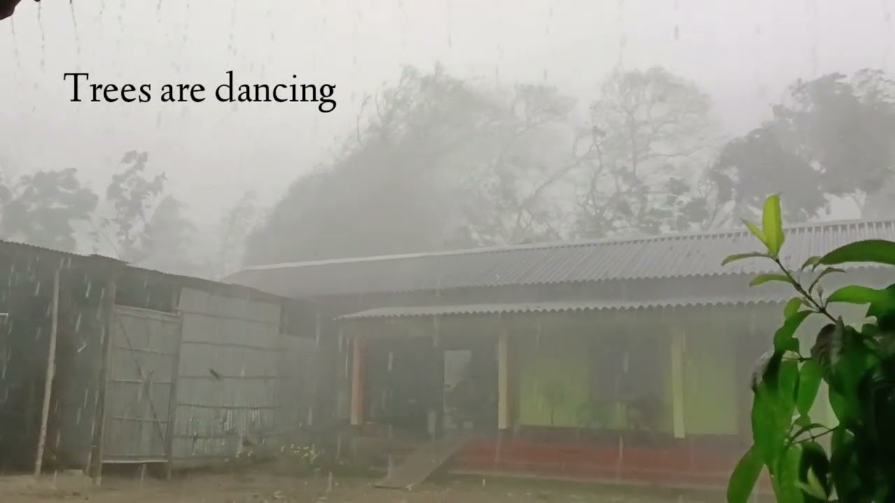 2022 Natural Disaster Heavy Rainfall, Storm & Flood