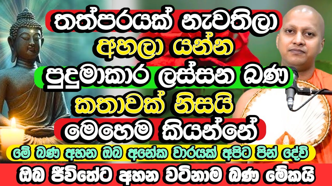 මේ වගේ බණක් අහන්න ලැබෙනවනම් ඒකාන්තයි ඔබට යහපතම වේවි | Hadigalle Chandaloka Thero | Bana Katha | Bana
