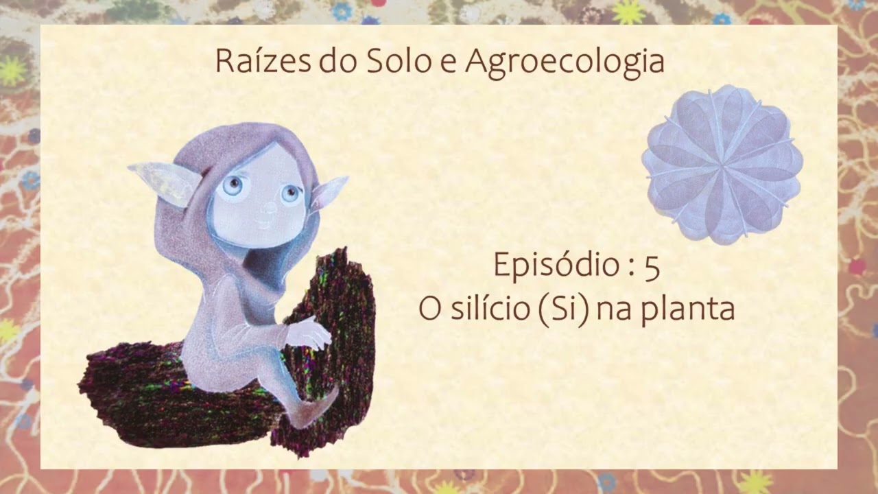 Episódio 5: O silício (Si) na planta - Especial Ana Maria Primavesi