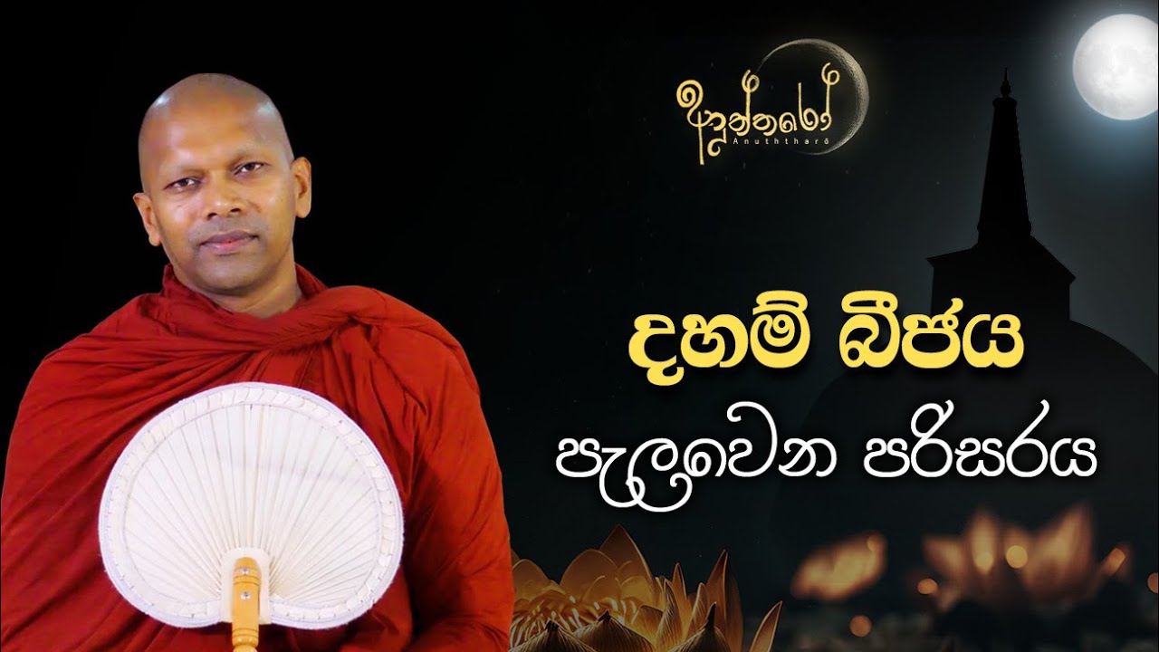 දහම් බීජය පැලවෙන පරිසරය | හුදෙක් නිවන් අවබෝධය සඳහා පමණි