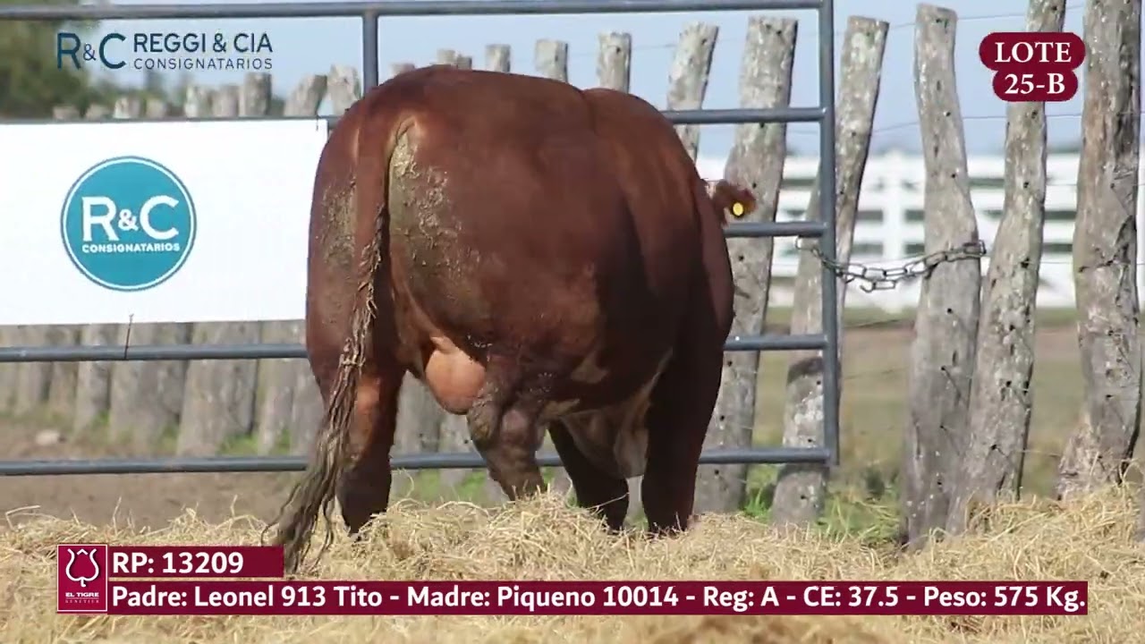 LOTE 25B