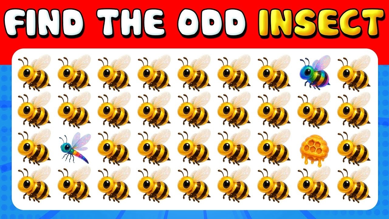 Find the Odd One Out!