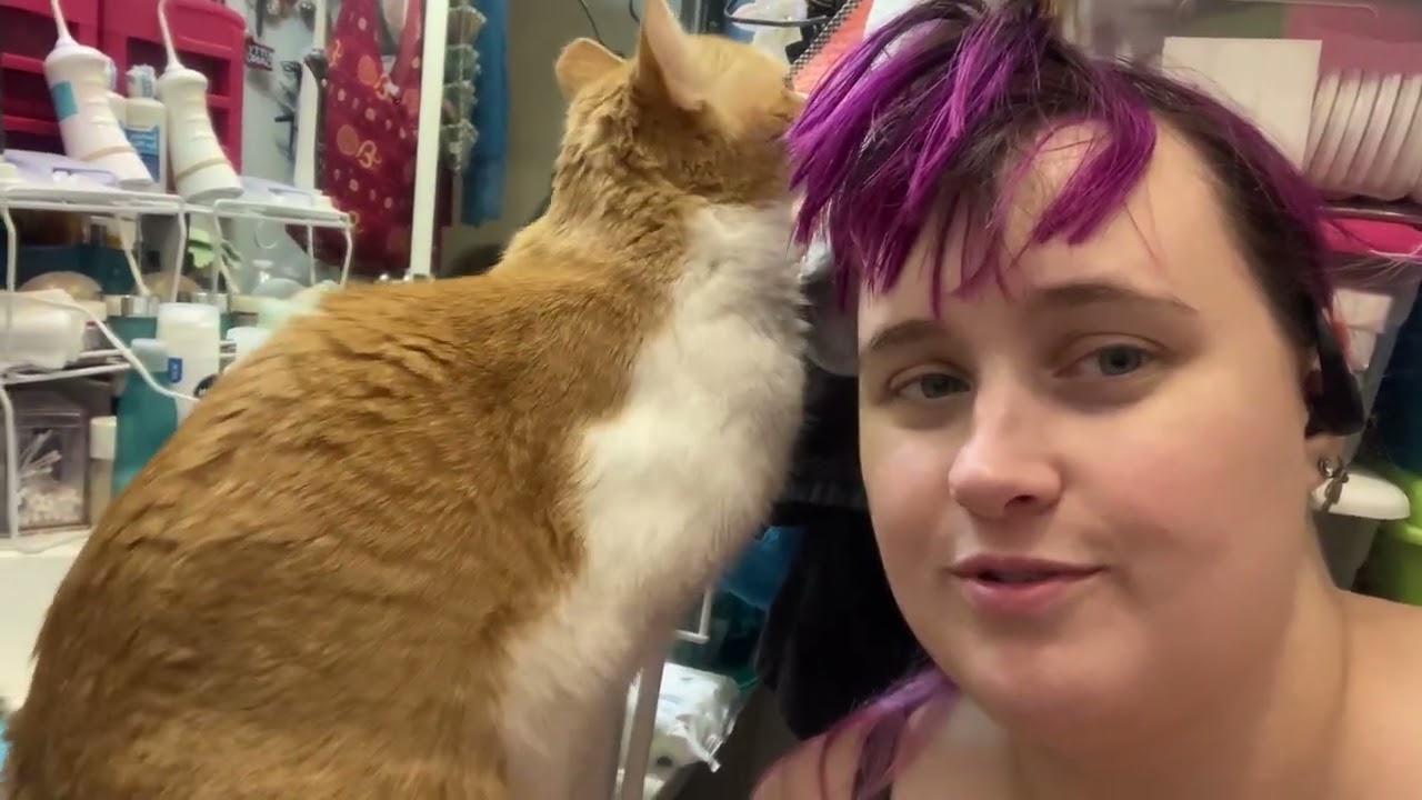 Finished Wedding corset , kitty pets , and walmart spring 2023 beauty box-- vlog april 2 - 18 2023