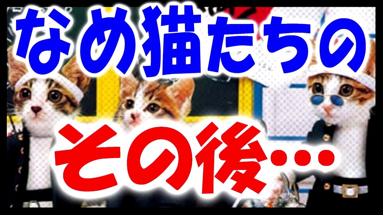 【80年代】なめ猫ブームが消されたワケ【昭和のアイドル猫を襲った悲劇】