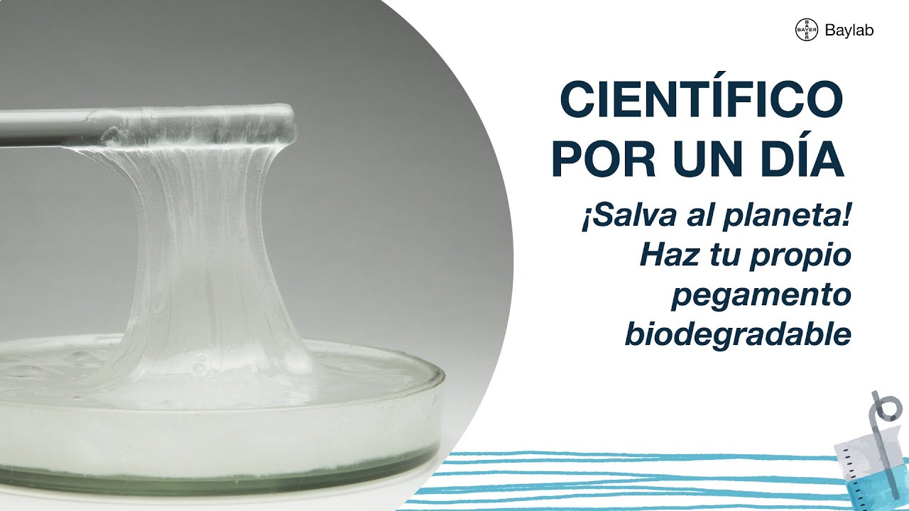 ¡Haz tu propio pegamento biodegradable! #diy #experimento