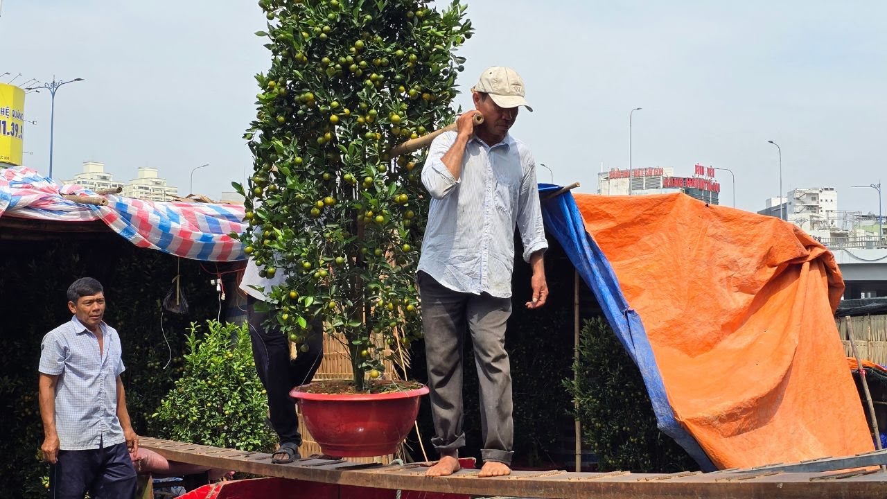 Người Sài Gòn xuống tiền, tắc khủng được chốt giá liên tục, xe ba gác chạy hết công suất