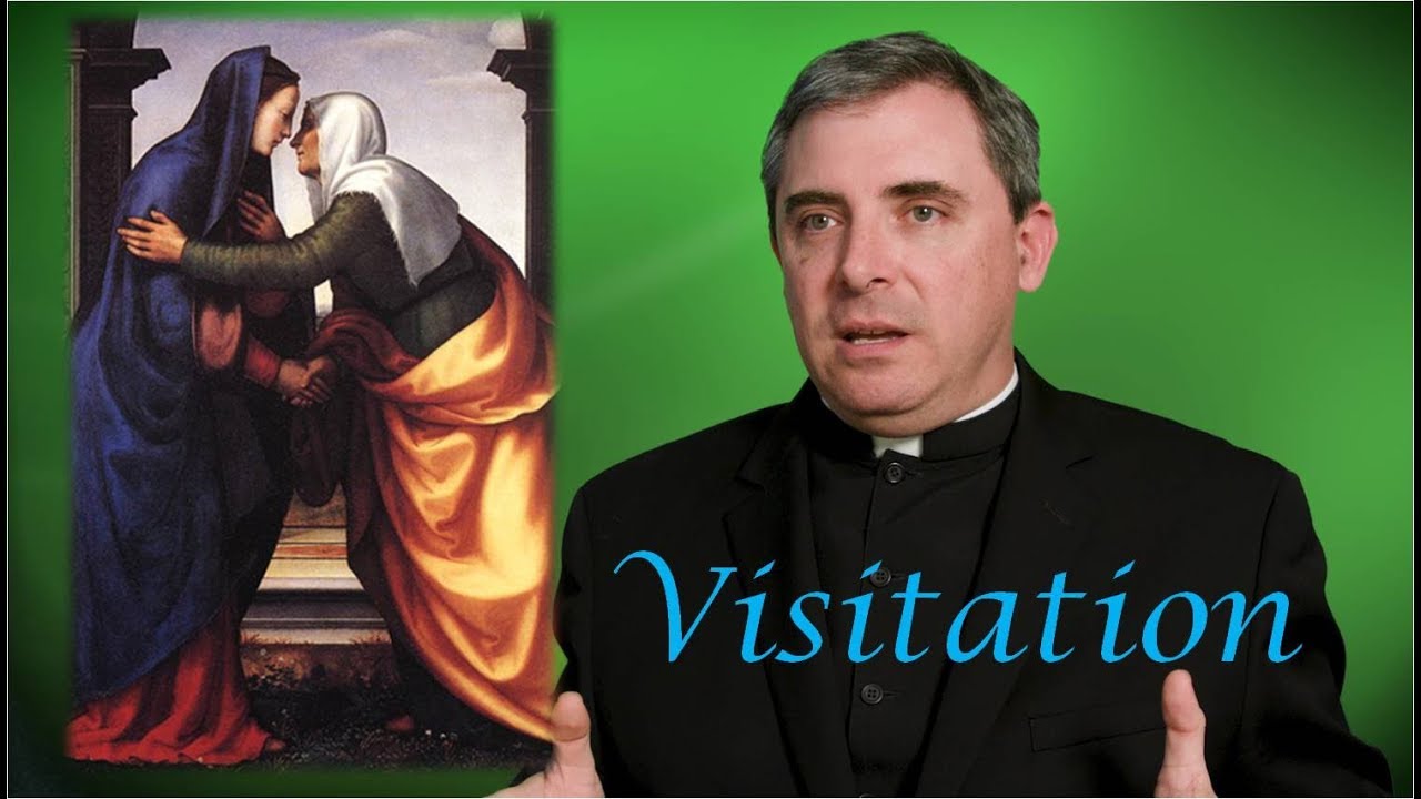 DISTRACTED BY A FOOTNOTE - The Visitation (The Biblical Virgin Mary, #3)