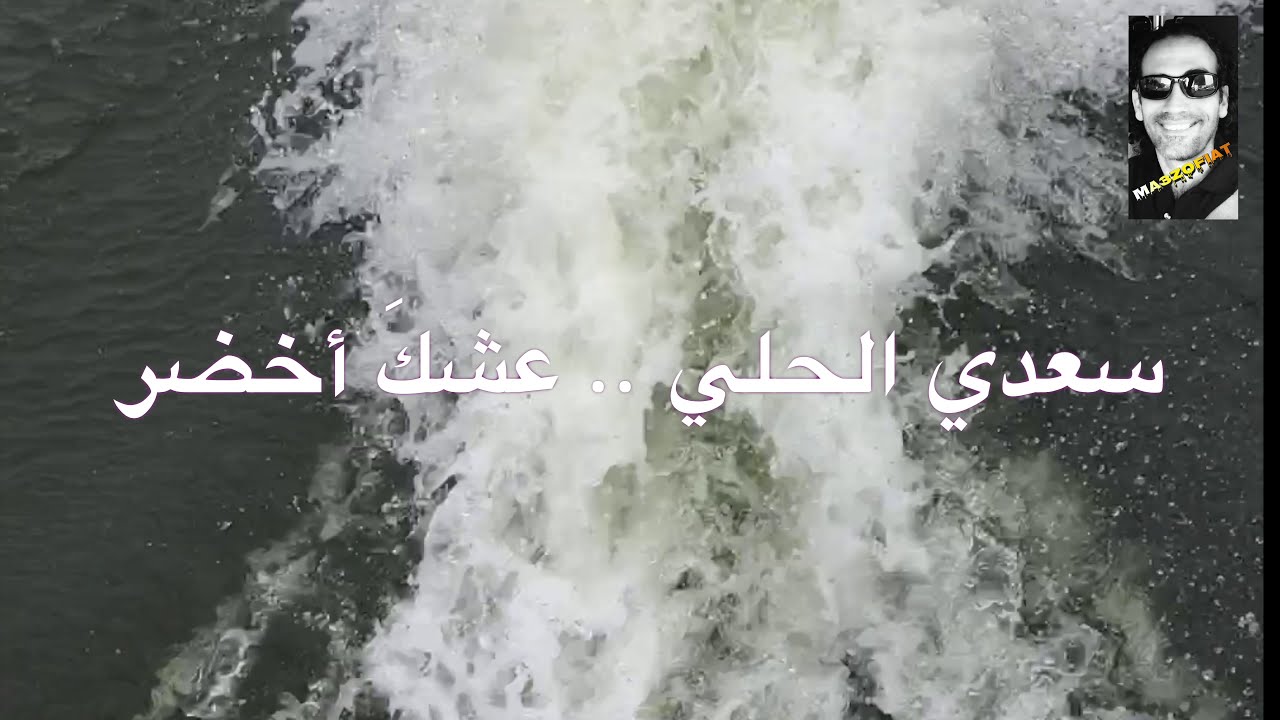 سعدي الحلي .. عشكَ أخضر .. موسيقى فقط