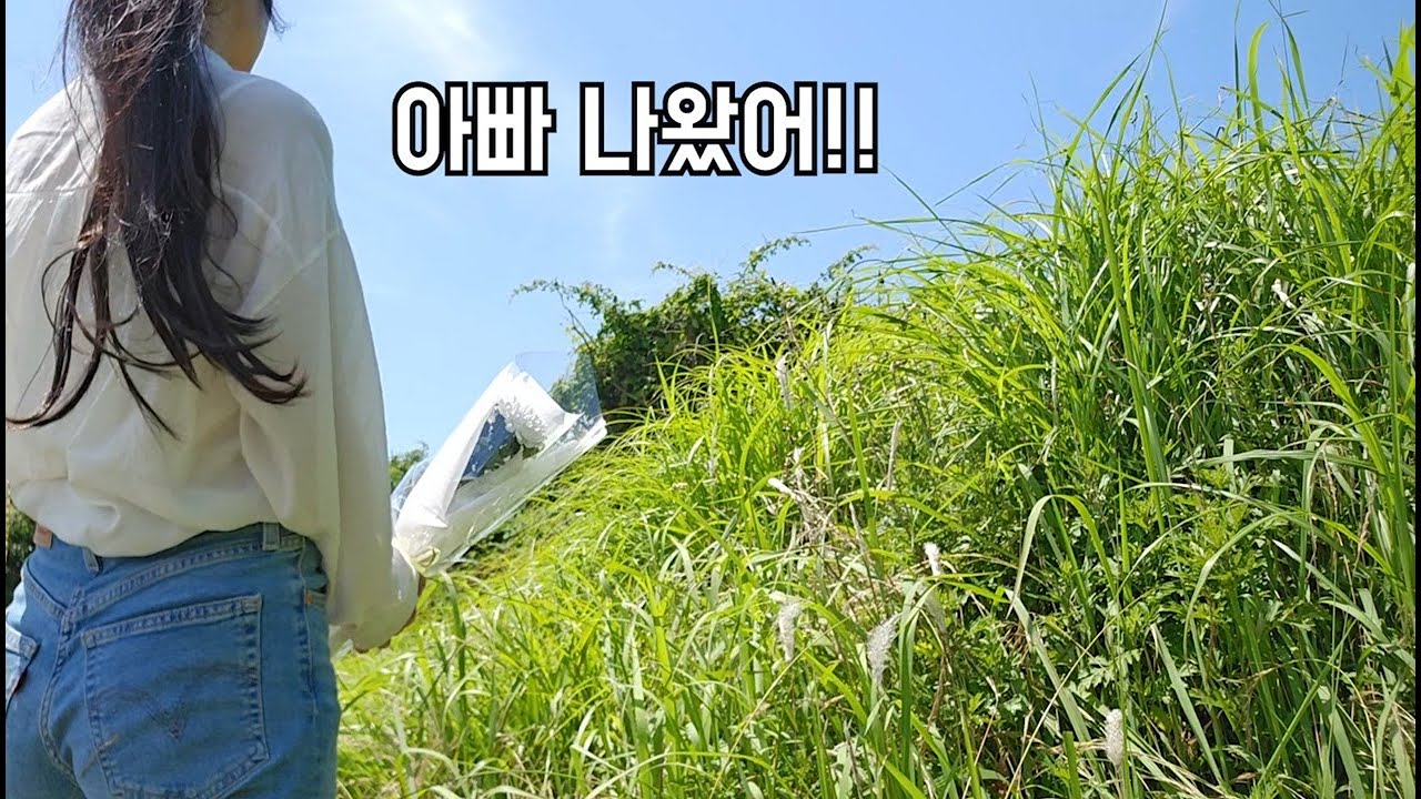 아빠와의 추억 찾아 삼만리