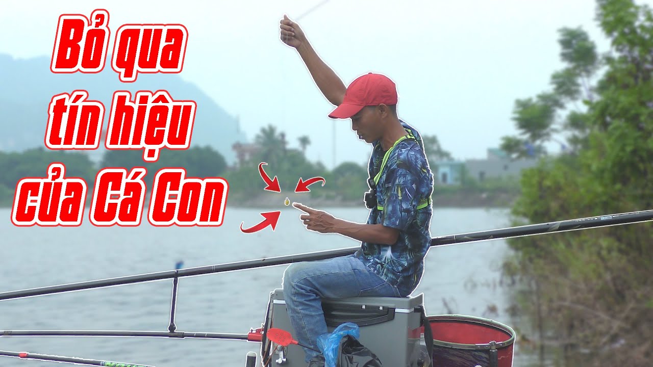 91. CÂU CÁ TỰ NHIÊN : Trắm Cỏ đầy ổ nhưng 