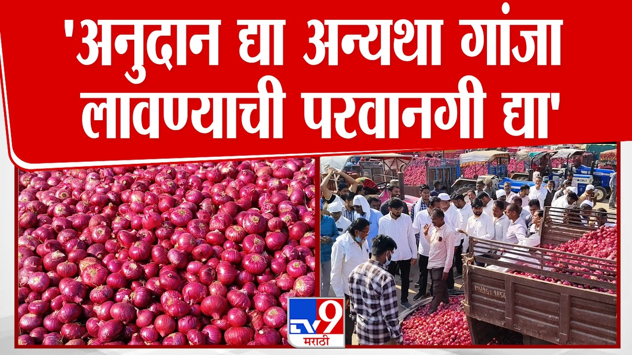 Nashik | 'अनुदान द्या अन्यथा गांजा लावण्याची परवानगी द्या'
