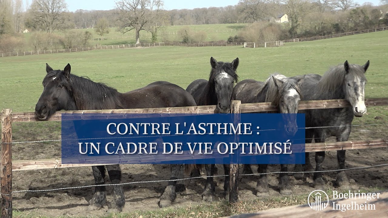 Minute Santé Boehringer - Contre l'asthme : un cadre de vie optimisé
