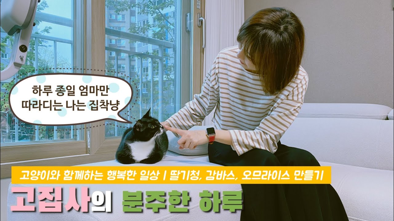 Sub) 고집사의 하루: 하루 종일 집사만 따라다니는 집착냥ㅣ사냥놀이ㅣ청소ㅣ딸기청, 감바스, 오므라이스 만들기