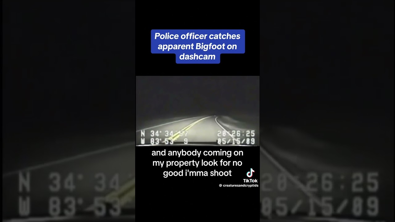 Officer caught bigfoot / sasquatch running across road dashcam