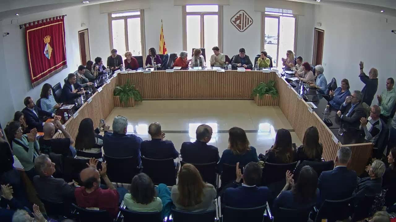 Ple Municipal 25 de març de 2025