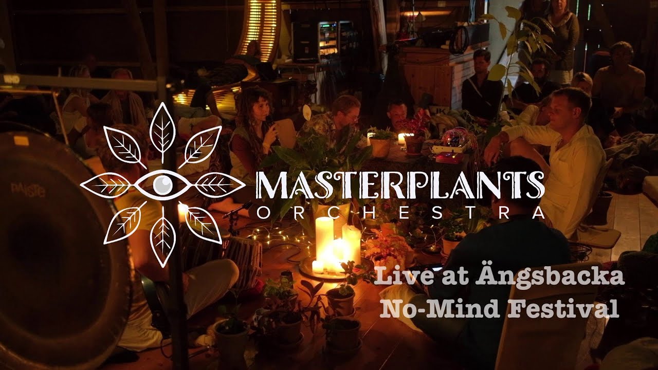 Masterplants Orchestra live at Ängsbacka Feat. Sangeetha Ravindranath - Benjamin Jamily -