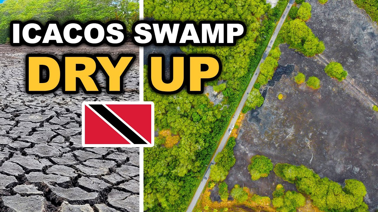 The Dried-up Icacos Wetlands, Trinidad