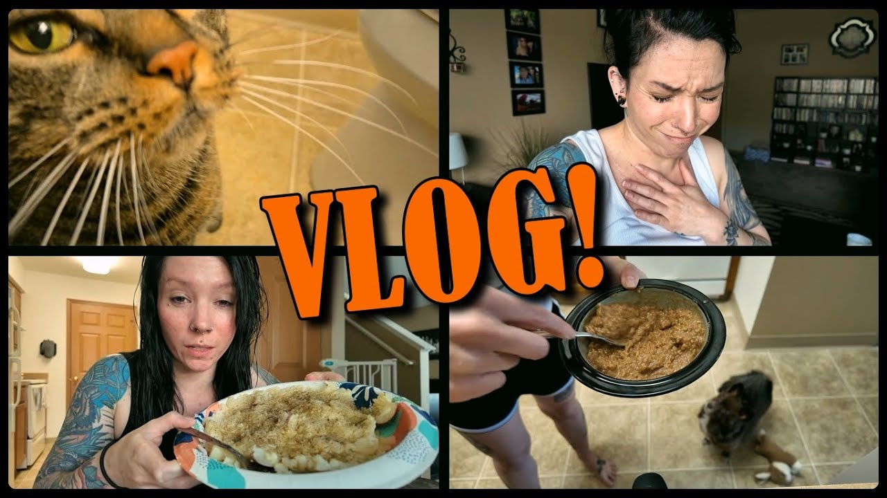 VLOG: June 24th | Baxter's New Diet & Updates, House Chores, My Feminine Health Updates, & MORE!