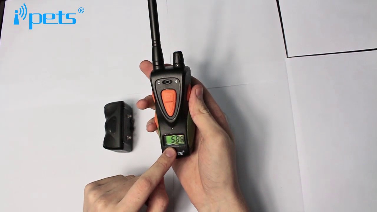 IPets 617