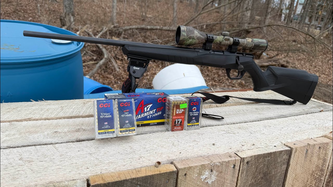 BEST .17 HMR AMMO TEST