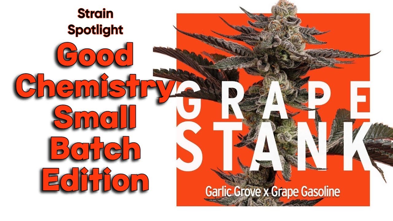 Grape Stank - Strain Spotlight