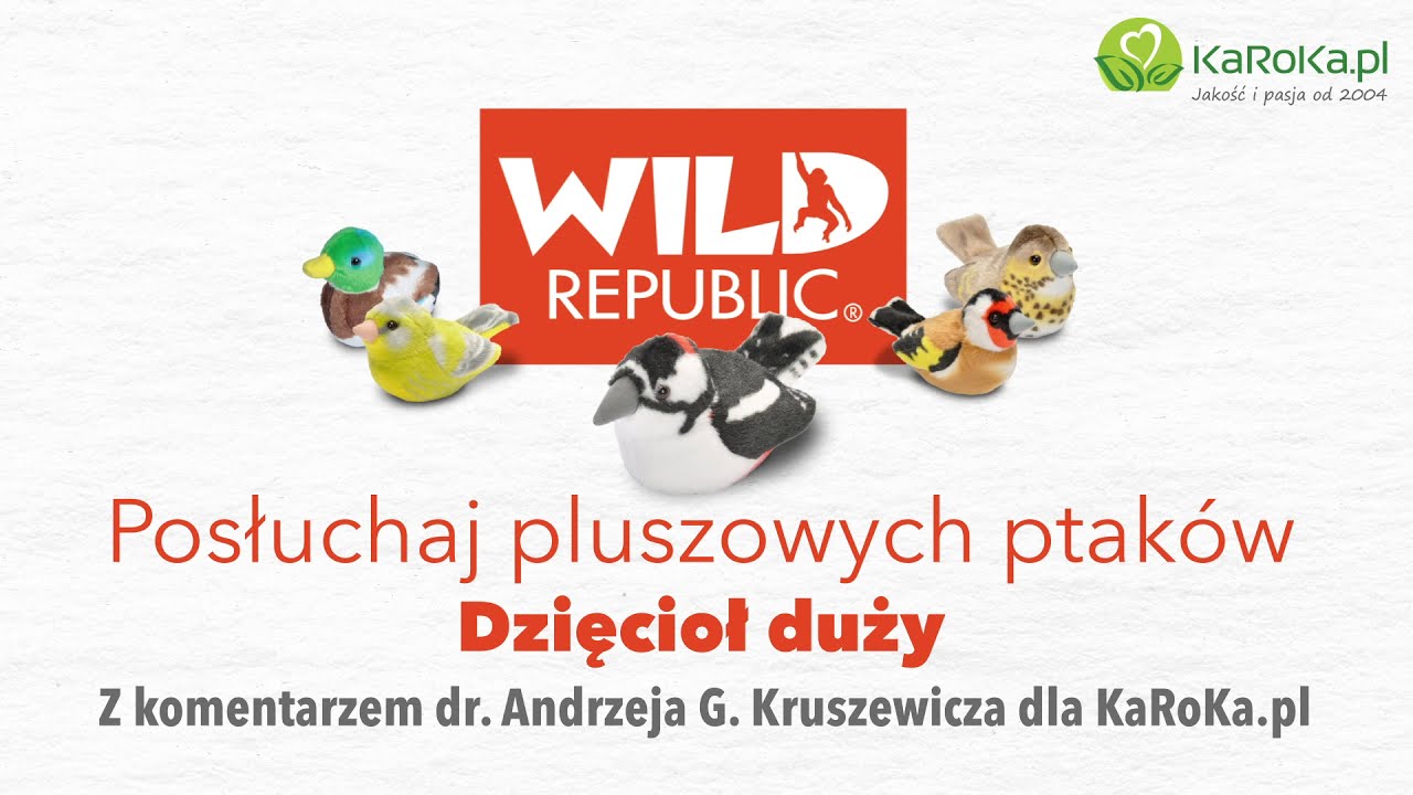 Posłuchaj pluszowych ptaków Wild Republic - Dzięcioł duży