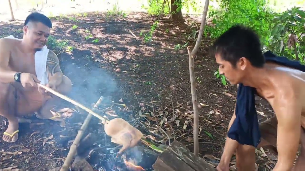 kap bornok melili ya Keng kabundukan😂