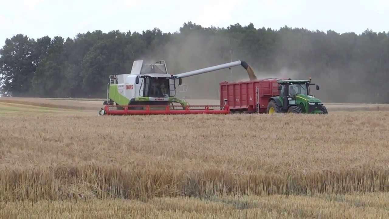 Gerstenernte mit 2x  Claas Lexion 580